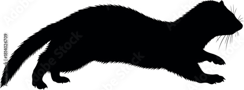 Ferret silhouette running black isolated white