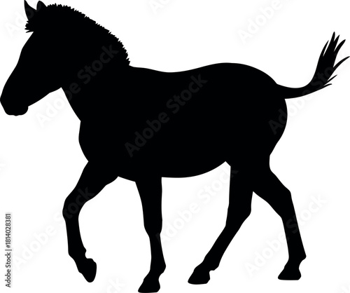 Black horse silhouette walking isolated