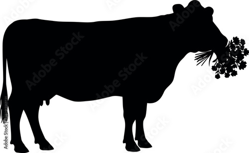 Cow silhouette eating snowflake