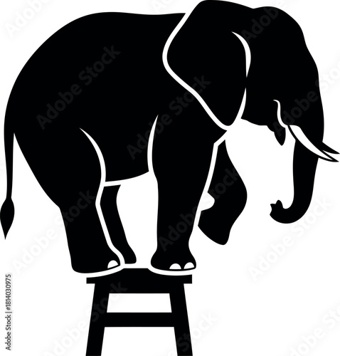 Silhouette elephant balancing on stool