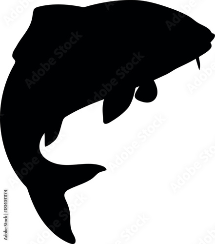 Jumping koi fish silhouette