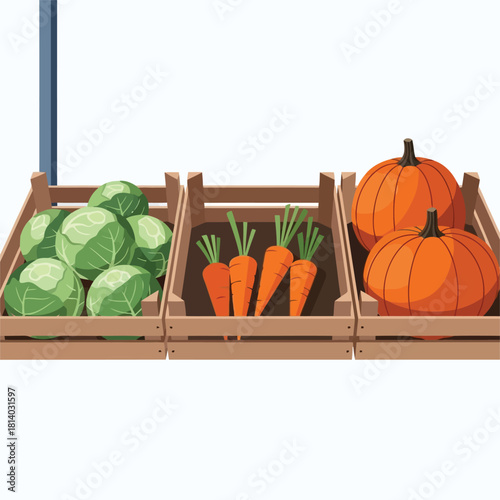 Three wooden crates filled with fresh vegetables cabbage