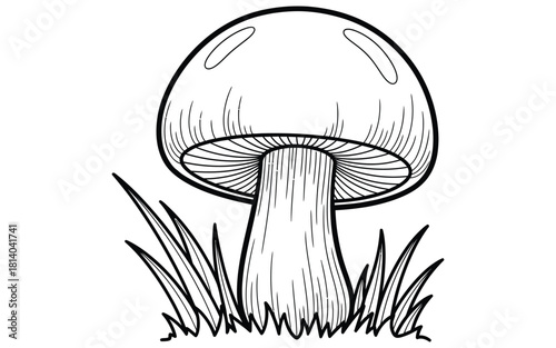 Hand drawn mushroom illustration with grass for coloring book or graphic design
