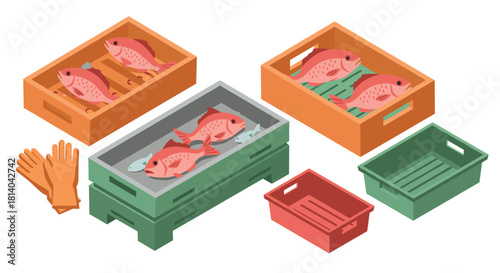 Fresh seafood display in isometric style with colorful crates and gloves