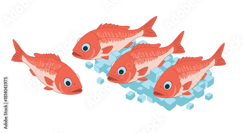 Isometric red snapper on ice cubes  fresh seafood concept art