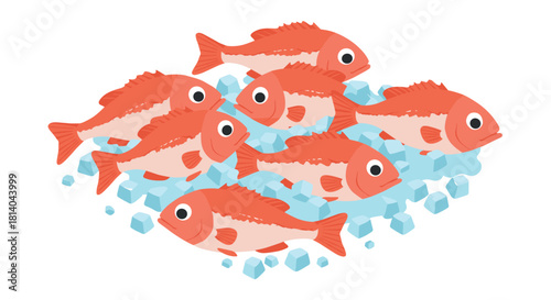 Isometric illustration of fresh red fish on ice cubes