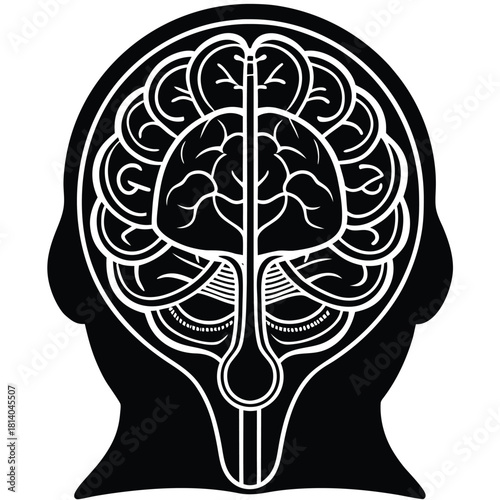 A blueprint vector of the human pineal gland, illustrating this tiny endocrine gland with a technical, diagrammatic style.