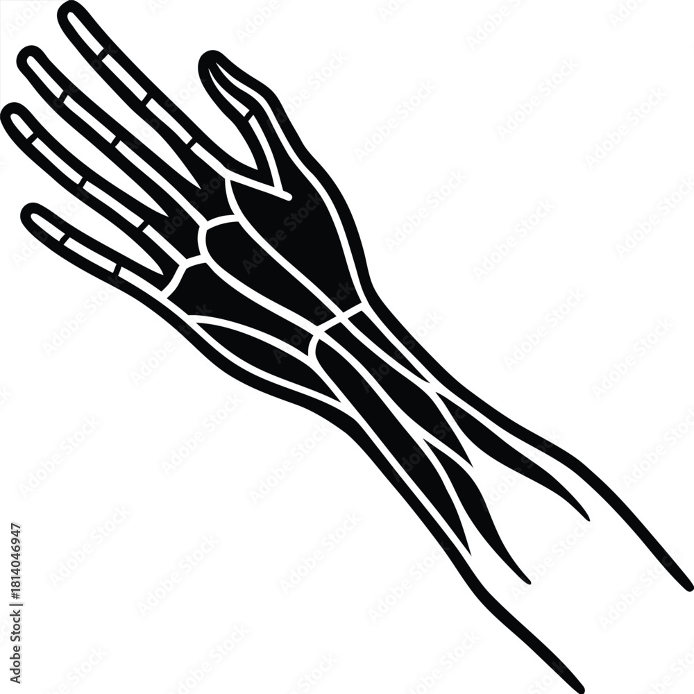 Obraz premium Adobe Illustrator Artwork