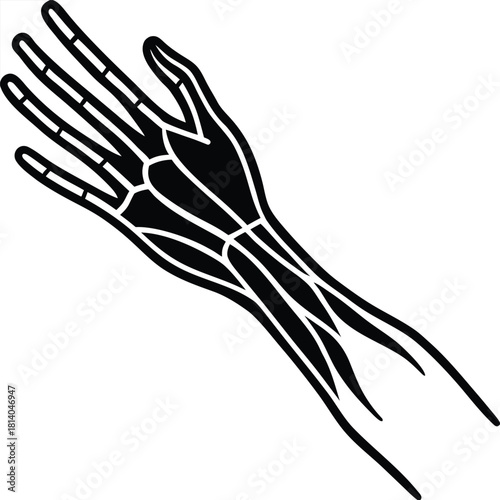 Adobe Illustrator Artwork