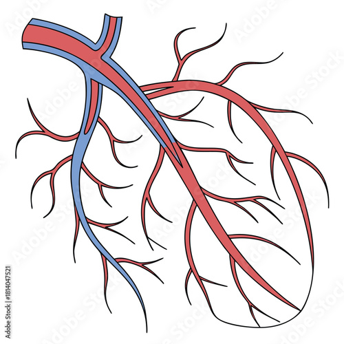 Adobe Illustrator Artwork