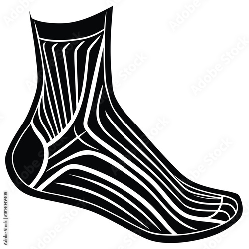 A line art vector of the human ankle malleolus, illustrating the bony prominence of the ankle joint.