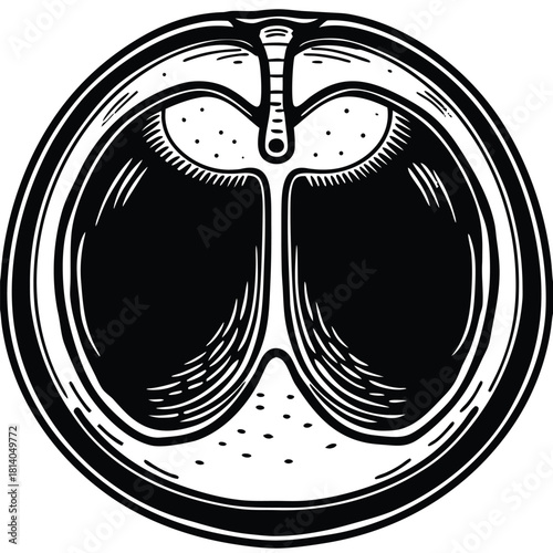 A minimalist vector of a fluid-filled cyst, suitable for simple medical or pathology illustrations.