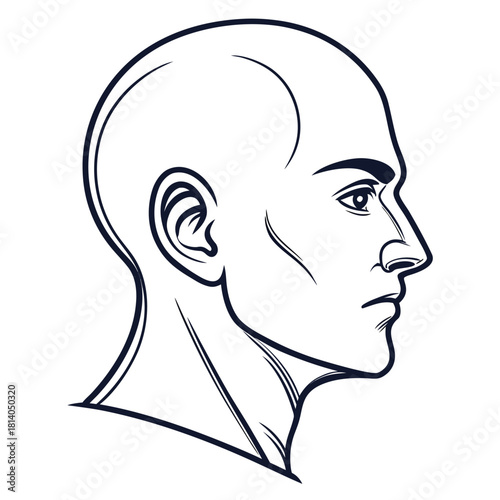 An outline vector of a full human head silhouette, for profiles, identity, or abstract concepts of the person.