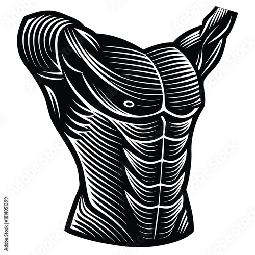 A stylized vector blueprint of an armpit crease, illustrating a simple body feature in a technical, diagrammatic style.
