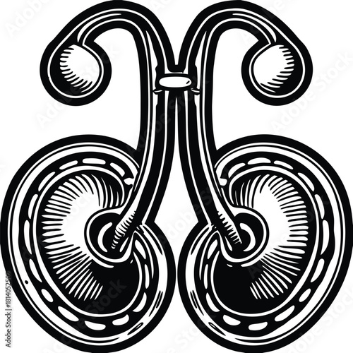 A vector illustration of the umbilical cord, suitable for simple diagrams of pregnancy and fetal connection.