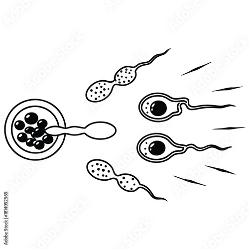 A vibrant vector of a developing embryo, illustrating the stages of early human development in bright, bold color.