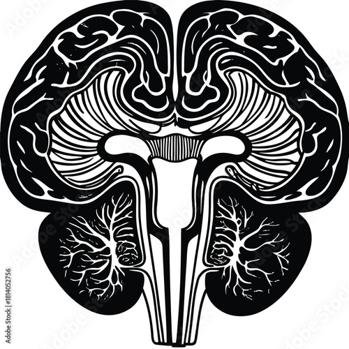 A vibrant vector of the hippocampus structure, illustrating the brain region critical for memory and emotion in bold color.