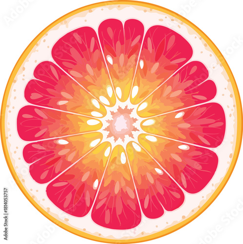 A vibrant, detailed illustration of a grapefruit slice with pink and yellow flesh, segmented and isolated on a white background, showcasing its juicy pulp and peel.