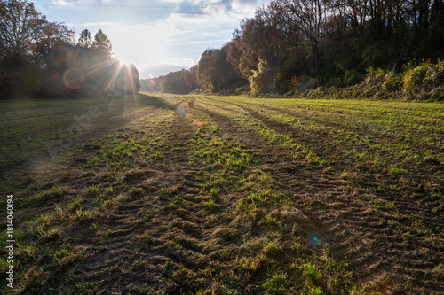 winter walking in sooting nature with memories from the past