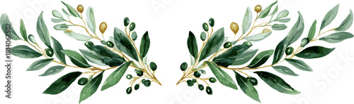 a set of symmetrical watercolor decorations of olive branches and mistletoe berries, vector illustration