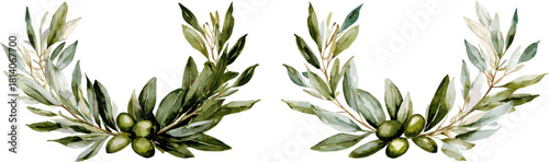 2 symmetrical sets of curved olive branches with mistletoe berries. Vector design illustration for Decoration