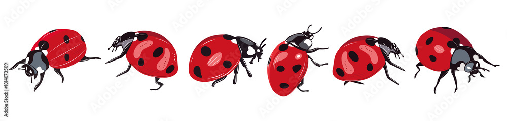 Fototapeta premium Ladybug insect red and black color. Summer bugs. Meadow insects. Ladybird illustration. Set of red ladybirds isolated on white. Can be used in different ways of design, appearance, cover, decoration