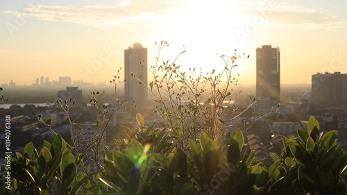 Morning video background on the rooftop of a condo, where the golden light of the morning sun reflects in a blurred bokeh with a garden and beautiful leaves.
