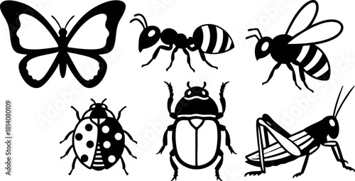 Insect collection vector set butterfly ant bee ladybug beetle grasshopper silhouette icons black and white design