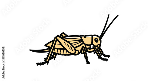 A charming cartoon drawing of a common cricket, a small jumping insect with long antennae, typically found in grass and fields.
