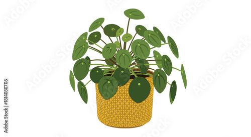 A vibrant illustration of a Pilea peperomioides houseplant, also known as a Chinese money plant, thriving in a decorative yellow woven basket.