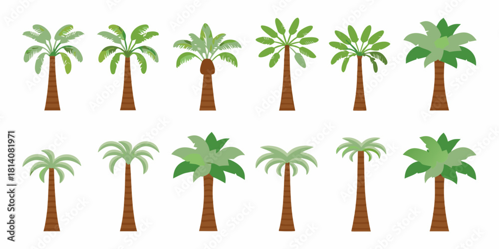 Fototapeta premium Collection of diverse tropical palm tree illustrations