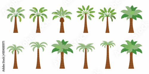 Collection of diverse tropical palm tree illustrations