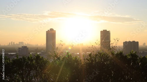 Morning video background on the rooftop of a condo, where the golden light of the morning sun reflects in a blurred bokeh with a garden and beautiful leaves.