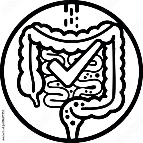 Digestive system icon with check mark symbol for health and medical approval vector illustration