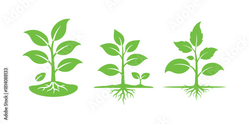 Plant Emblem. Cultivating, Organic, Farming, Planting, Nature

