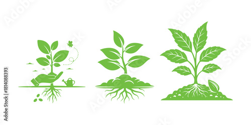 Plant Symbol. Growing, Natural, Agriculture, Sowing, Environment

