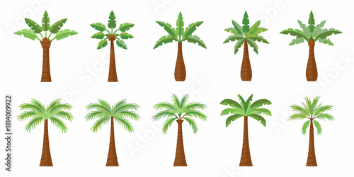 Collection of diverse cartoon palm trees