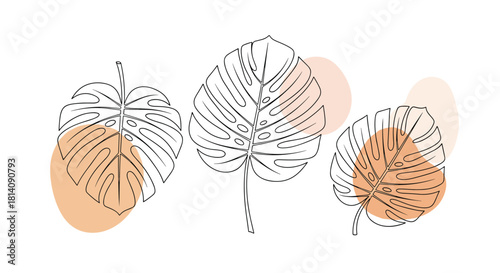 Minimalist line art illustration featuring three tropical Monstera deliciosa leaves with abstract pastel background shapes.