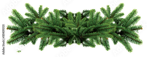 Lush symmetrical evergreen fir branch garland with dense green needles for festive decoration.