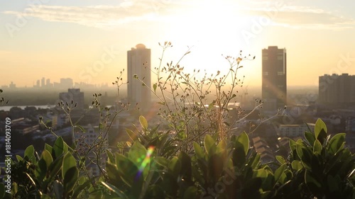 Morning video background on the rooftop of a condo, where the golden light of the morning sun reflects in a blurred bokeh with a garden and beautiful leaves.