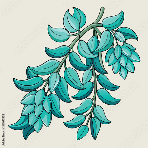 Jade Vine cluster with flowing pendulous flowers