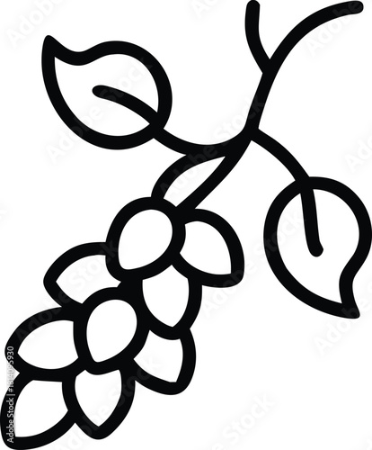 Jade Vine cluster with flowing pendulous flowers