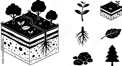 Soil layers with trees roots plant leaf and pine tree vector illustration for environmental nature education
