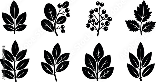 Collection of black silhouette leaf and berry vector icons natural botanical design elements simple style