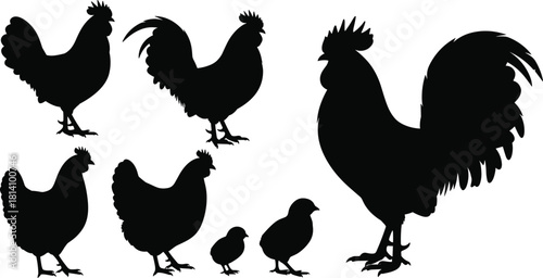Chicken Family Silhouette Vector Set, Rooster, Hen, and Chick Black Icons, Minimalist Farm Animal Graphic for Agriculture, Poultry, Food, and Country Life Design