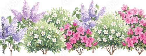 Colorful Flowering Garden Bushes Border with Lilac and Azalea Vector Illustration Isolated on White