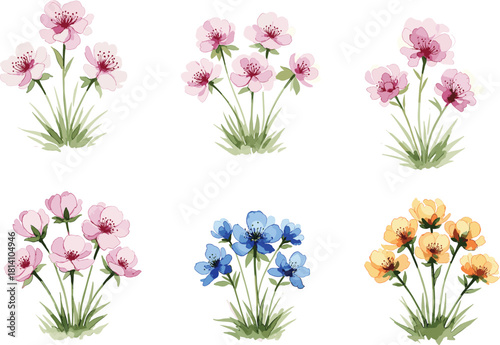 Set of Colorful Watercolor Style Spring Wildflowers Growing in Grass Vector Illustration Isolated on White