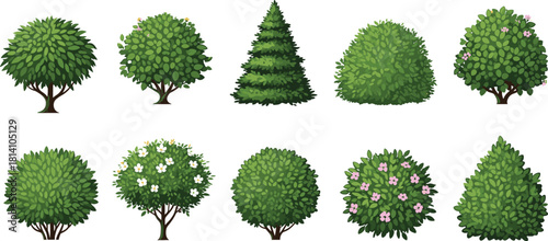 Set of Various Green Garden Bushes Shrubs and Trees Vector Illustration Isolated on White Background