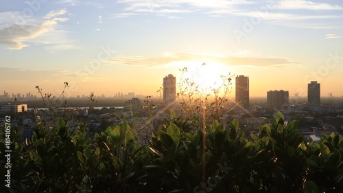 Morning video background on the rooftop of a condo, where the golden light of the morning sun reflects in a blurred bokeh with a garden and beautiful leaves.