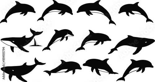 Set of sea mammal silhouettes, including playful dolphins and killer whales, depicting aquatic animals, marine life, and ocean wildlife vector illustration graphics.